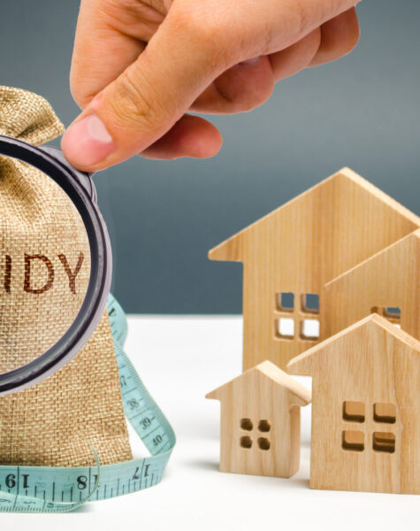 Money,Bag,With,The,Word,Subsidy,And,Wooden,Houses.,Financial